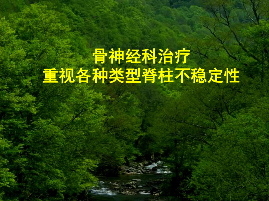 脊柱稳定性课件.ppt_第1页