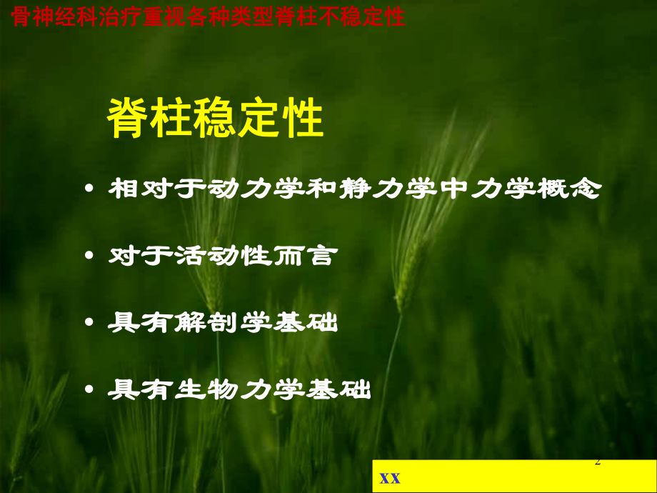 脊柱稳定性课件.ppt_第2页