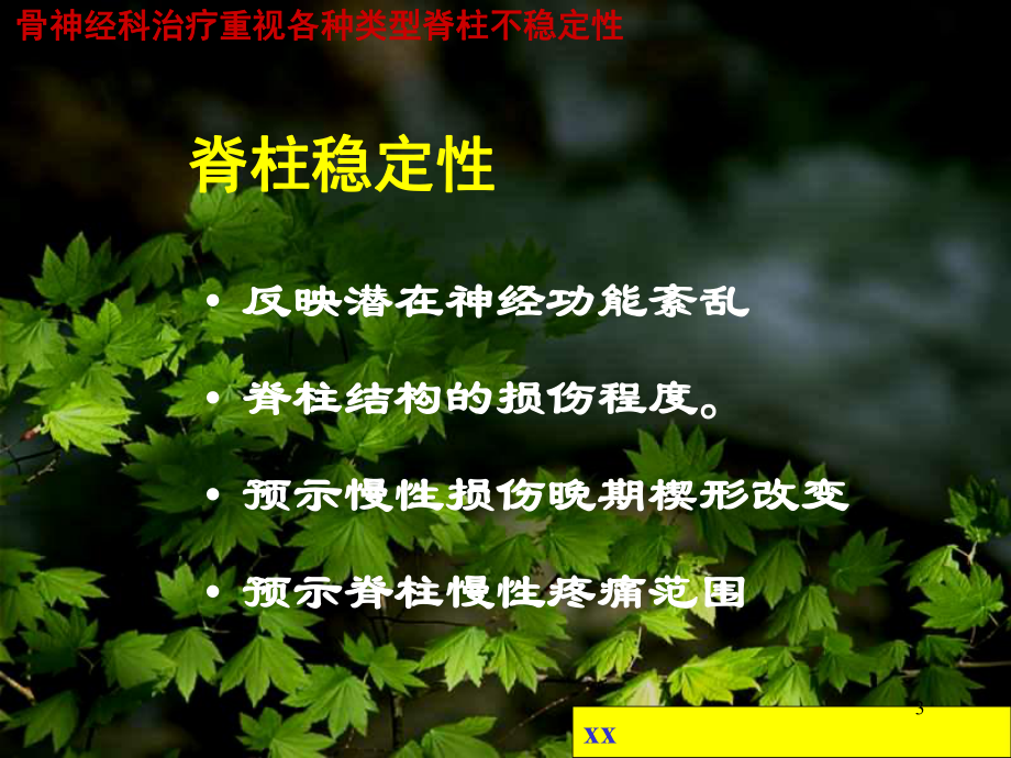 脊柱稳定性课件.ppt_第3页