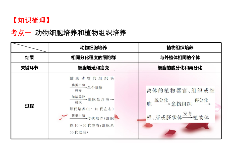 高考生物大一轮复习-121122动物细胞培养-植物组织培养课件-中图版选修3课件.ppt_第3页