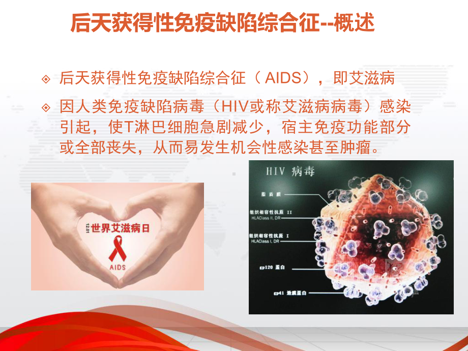 艾滋病营养治疗概要课件.ppt_第2页