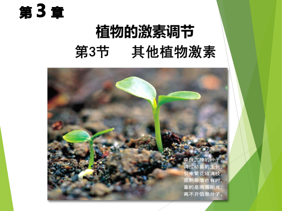 高中生物人教课标版必修3其他植物激素教学设计课件.ppt_第1页