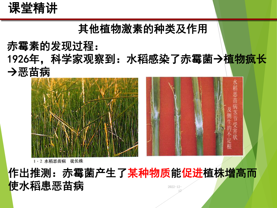 高中生物人教课标版必修3其他植物激素教学设计课件.ppt_第3页