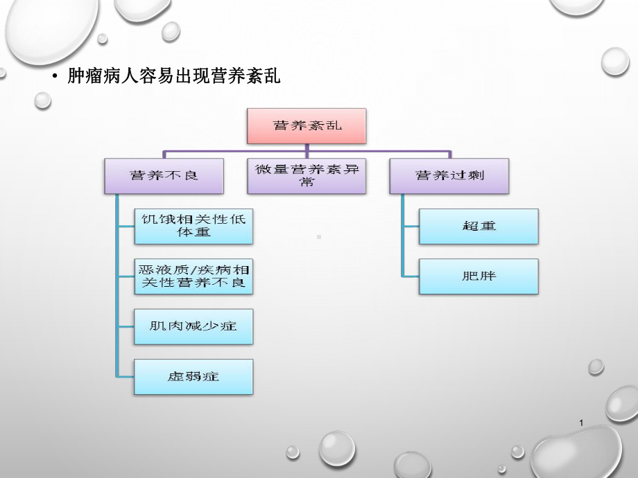 营养筛查工具(课堂)课件.ppt_第2页