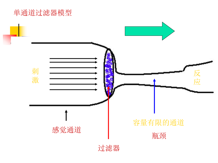 西南大学考研实验心理学讲义21课件.ppt_第3页