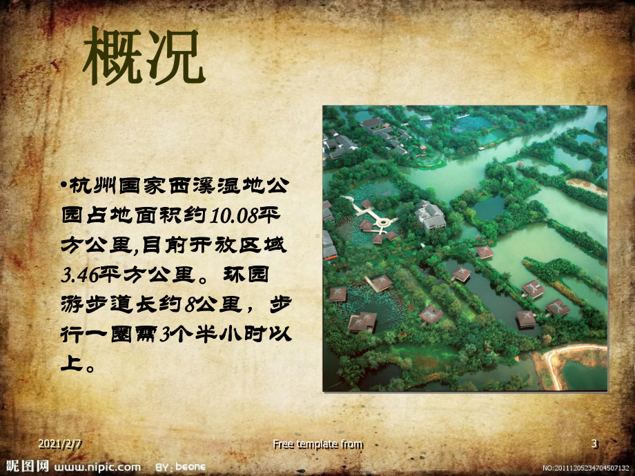 西溪湿地汇报课件.ppt_第3页