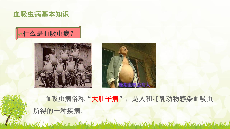 血吸虫病防治知识-课件.ppt_第3页