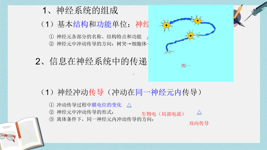 沪科版高中生命科学第二册52《神经系统中信息的传递和调节》课件4.ppt_第2页