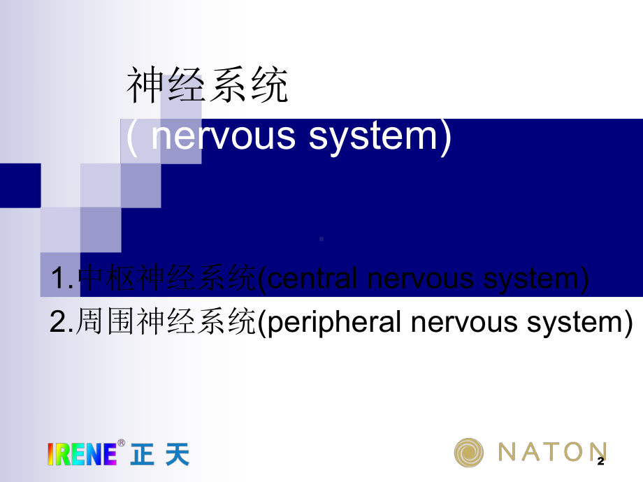 脊柱内固定参考课件.ppt_第2页