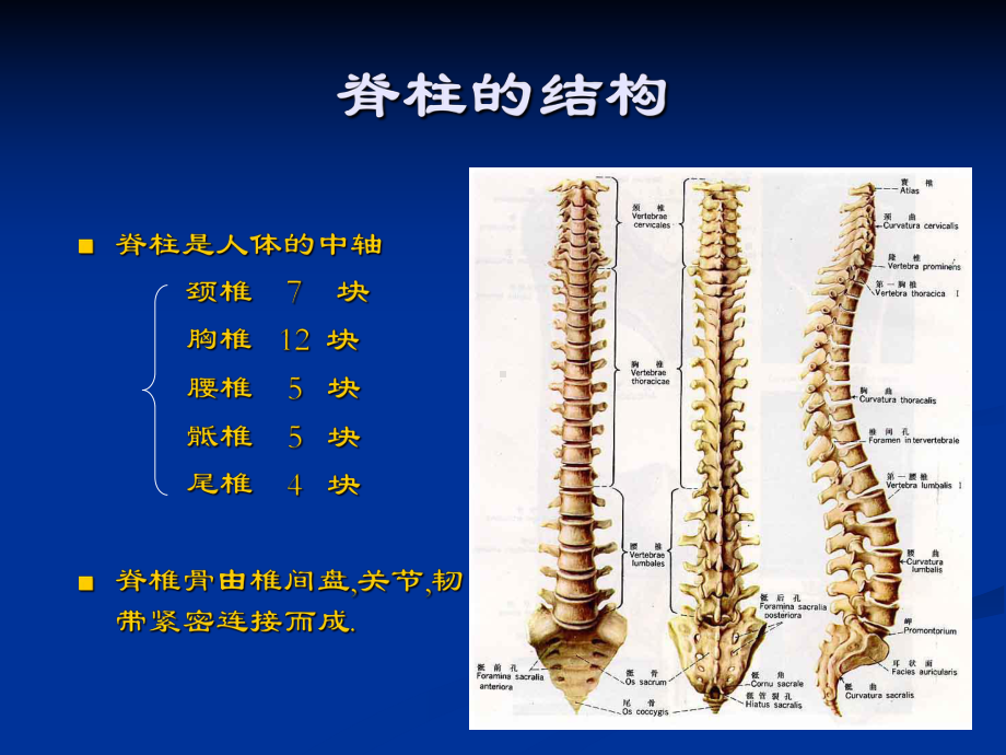 颈椎病-课件名师教学资料.ppt_第1页