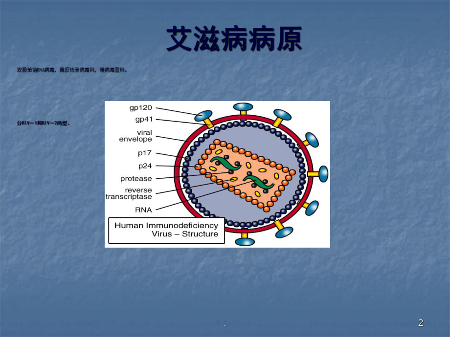 艾滋病诊断及治疗教学课件.ppt_第2页