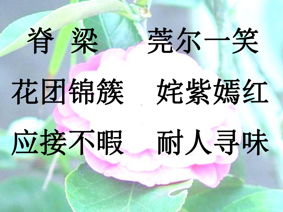 脊梁莞尔一笑花团锦簇姹紫嫣红应接不暇耐人寻味课件.ppt_第2页