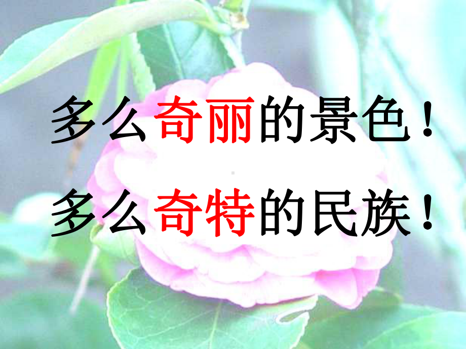 脊梁莞尔一笑花团锦簇姹紫嫣红应接不暇耐人寻味课件.ppt_第3页