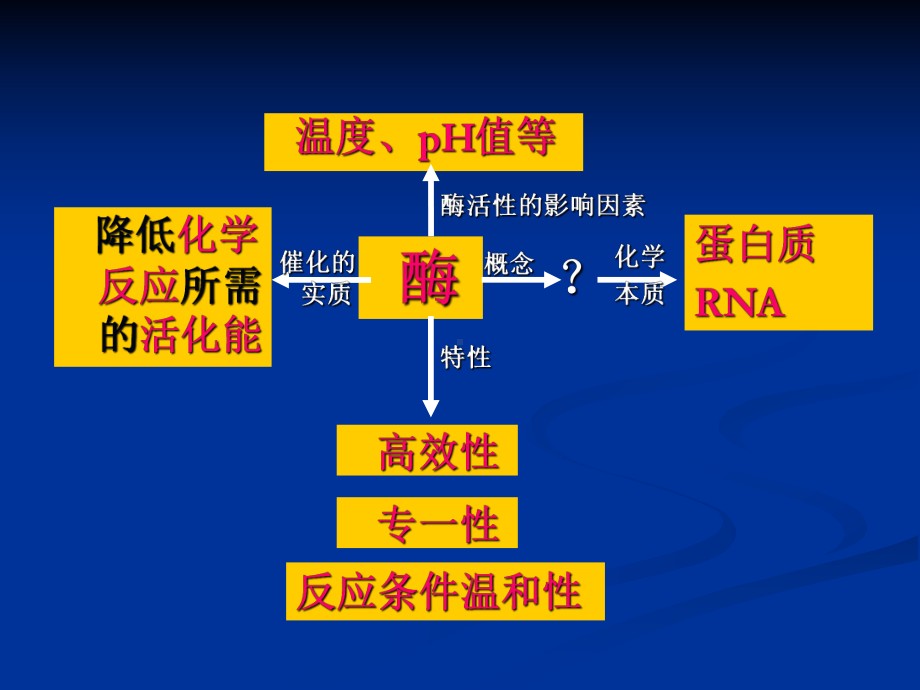 高三生物复习第五章1、酶及实验设计课件.ppt_第2页