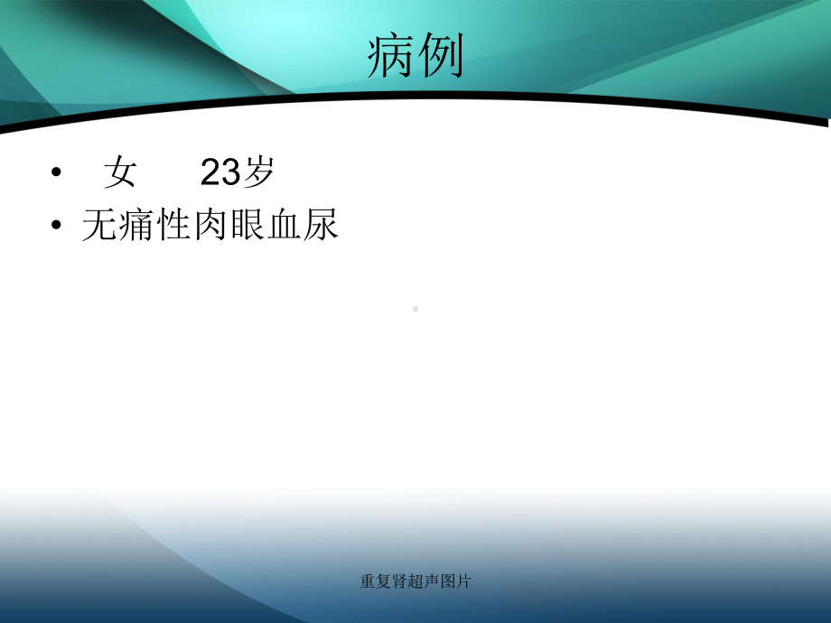 重复肾超声图片课件.ppt_第2页