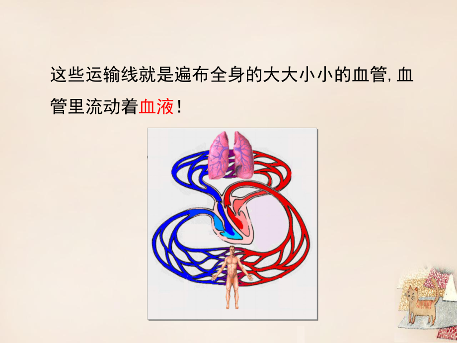 七年级生物下册第三章第一节物质运输的载体教学课件(新.ppt_第3页