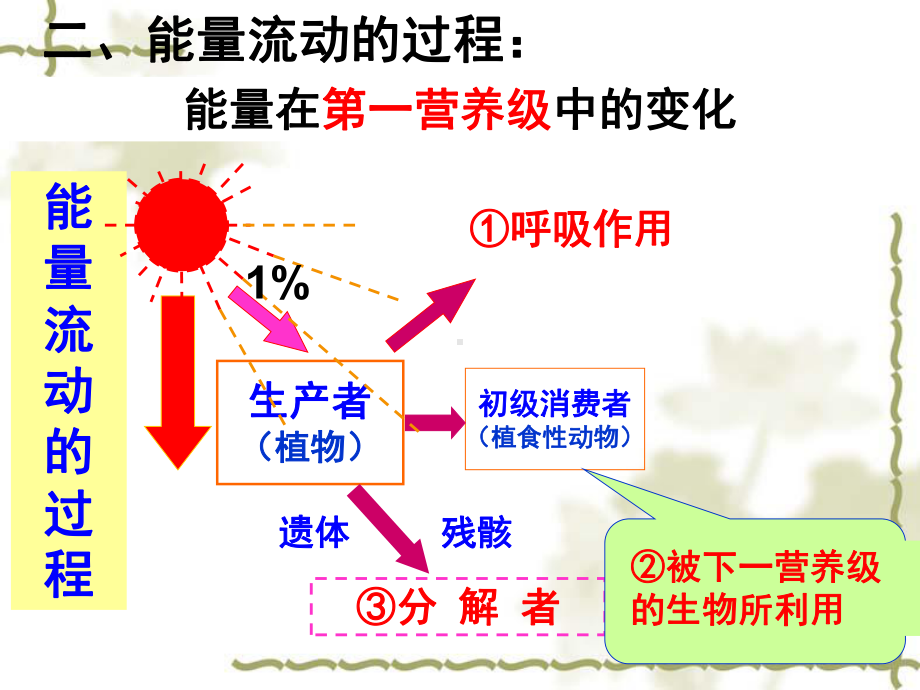 生态系统的能量流动课件讲义02.ppt_第3页