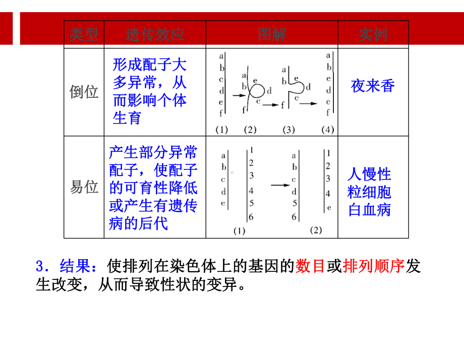 高考生物一轮复习课件-染色体变异人教.ppt_第3页