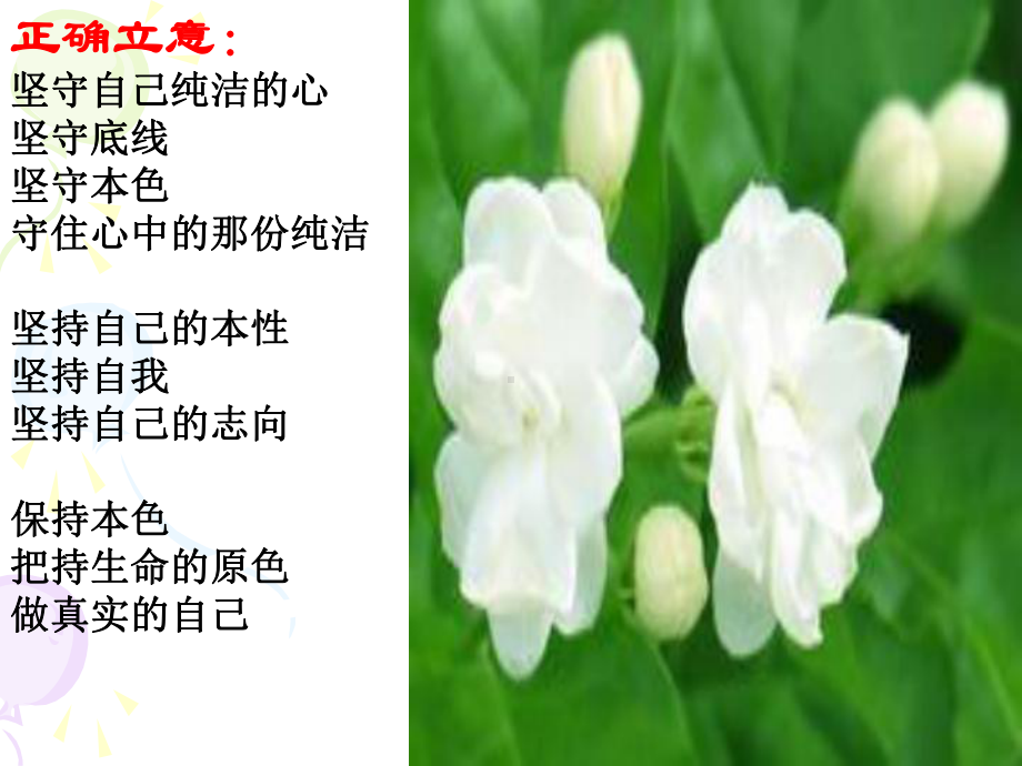 材料作文“茉莉花”讲评课件.ppt_第3页