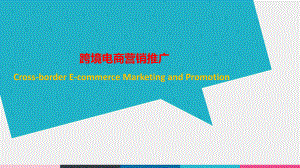 《跨境电商营销推广》课件项目二 任务5 消费者分析.ppt