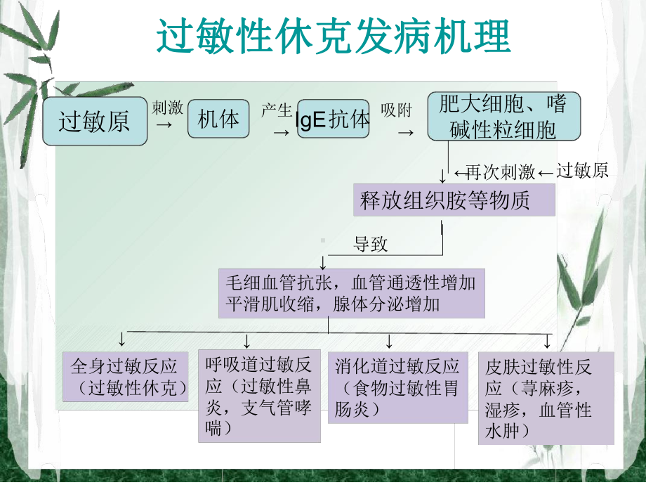 课件过敏性休克课件.ppt_第3页