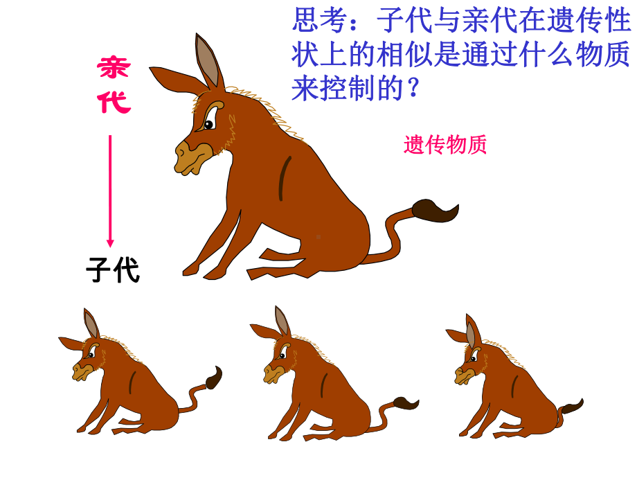 遗传和变异全国生物教师素养大赛一等奖课件.ppt_第3页