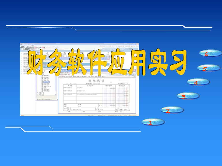 财务软件应用U课件.ppt_第2页