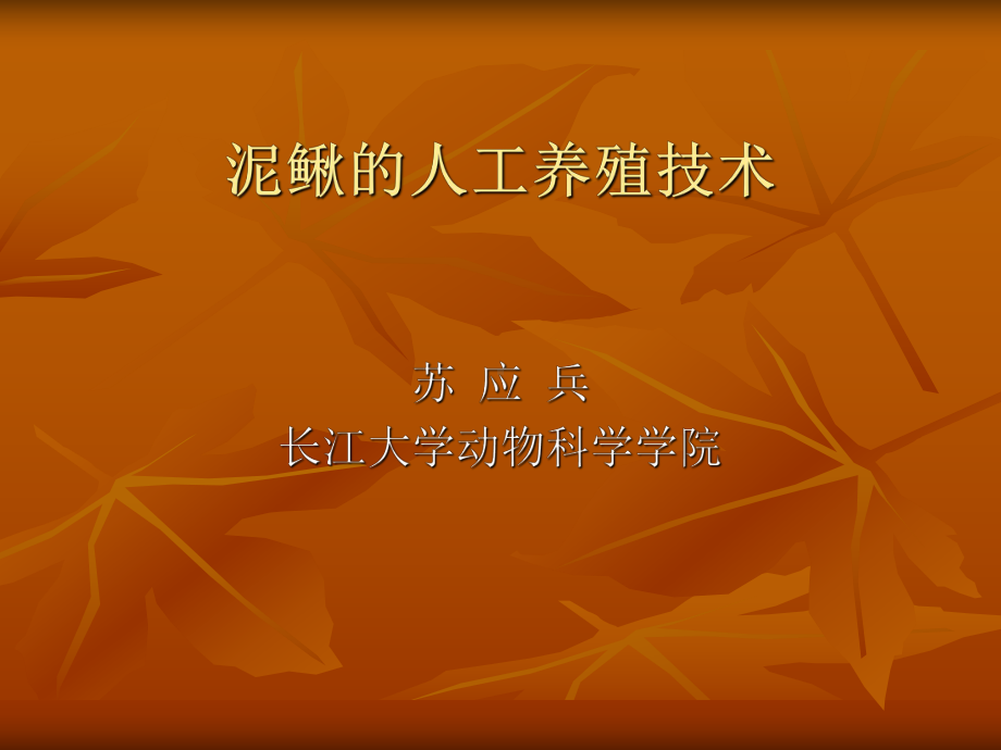 泥鳅的人工养殖技讲义课件.ppt_第1页