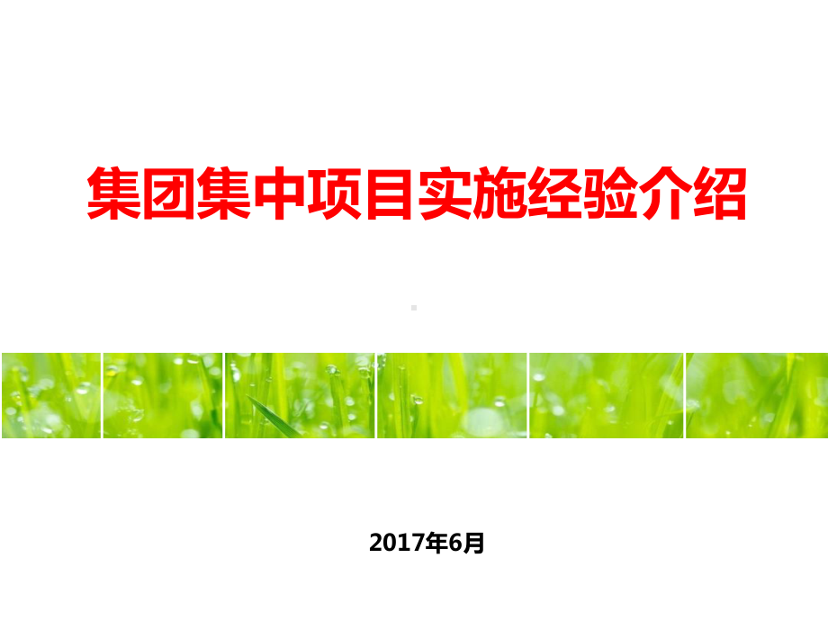 集团集中项目实施经验沟通交流材料课件.pptx_第1页