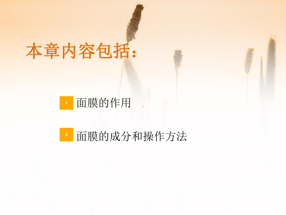 面膜的使用方法课件.ppt_第2页