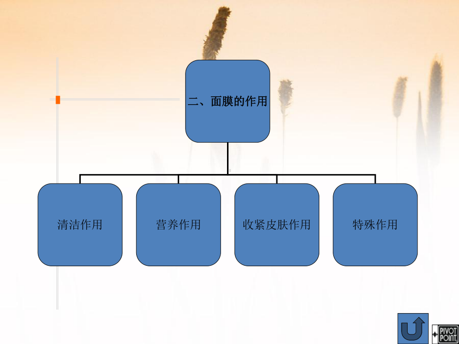 面膜的使用方法课件.ppt_第3页