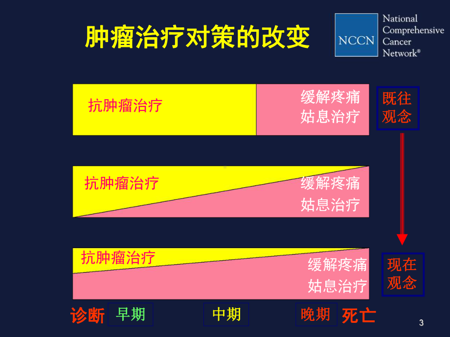 成人癌痛临床实践指南解读1资料课件.ppt_第3页