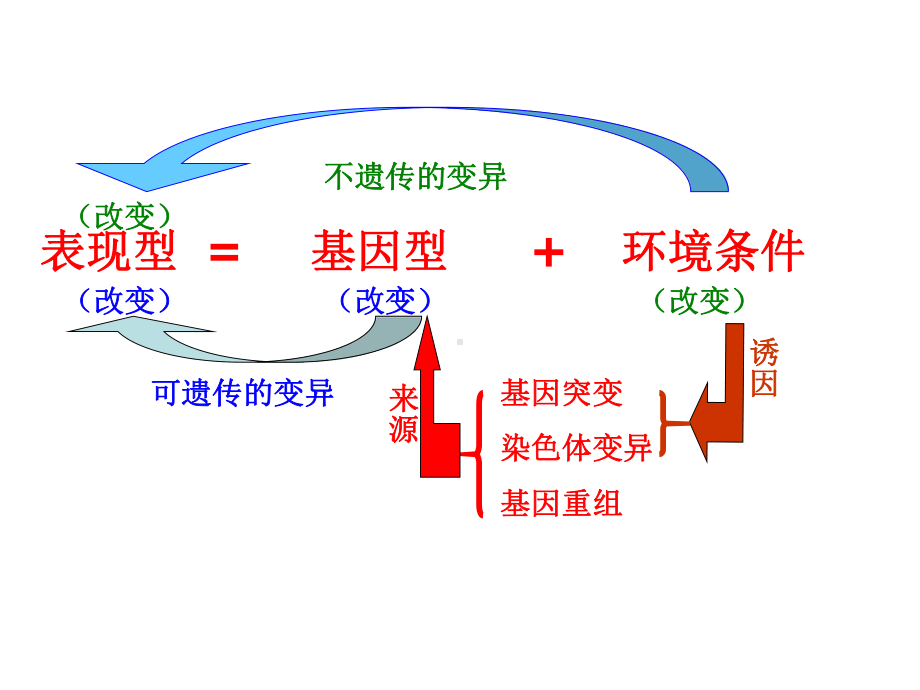 表现型=基因型-环境条件课件.ppt_第3页