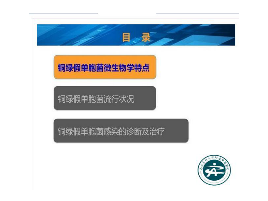 铜绿假单胞菌(Reviw)选编课件.ppt_第2页