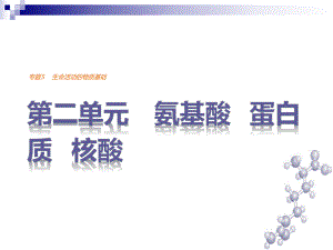 高中化学专题5生命活动的物质基础第二单元氨基酸蛋白质核酸课件苏教版选修5.ppt