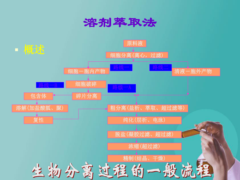 食品生物技术课程课件.ppt_第3页