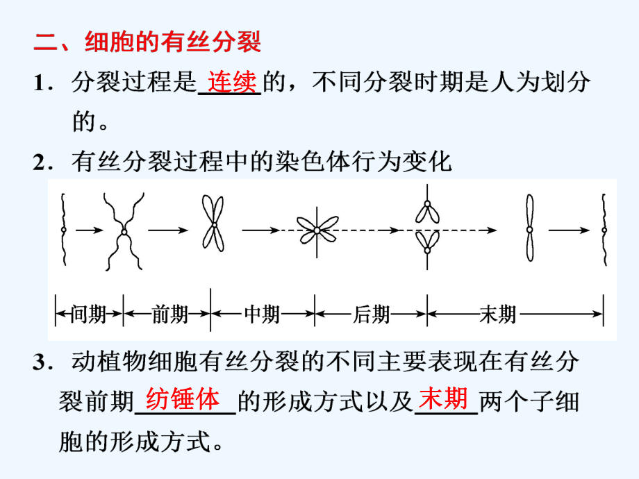 高三二轮复习-有丝分裂与减数分裂课件.ppt_第3页