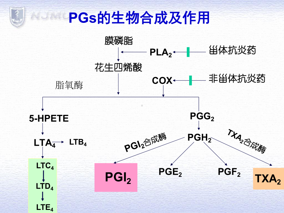 非甾体抗炎药non课件.ppt_第3页