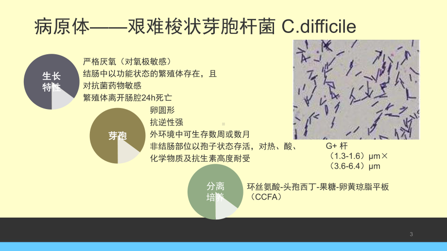 艰难梭菌感染学习课件.ppt_第3页