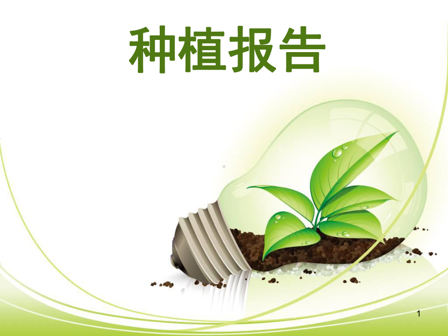 植物种植观察报告课件.ppt_第1页