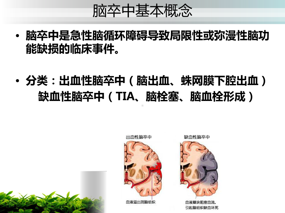 脑卒中偏瘫的康复护理课件.ppt_第3页