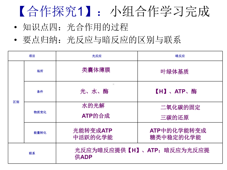 能量之源光与光合作用第二课时课件.ppt_第3页