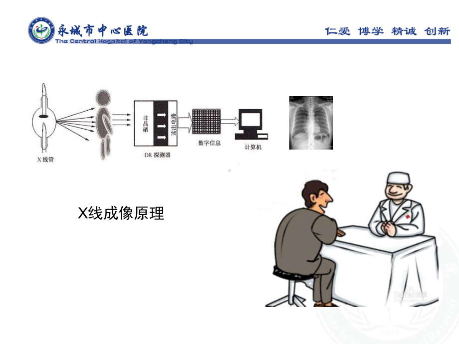 读懂X线胸部平片课件.ppt_第3页