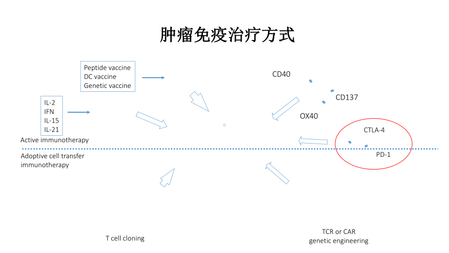 肺癌免疫治疗进展(课堂)课件.ppt_第3页