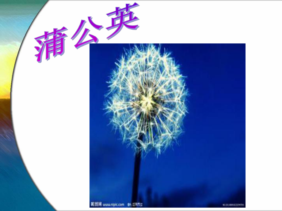 科学-种子旅行记课件.ppt_第3页