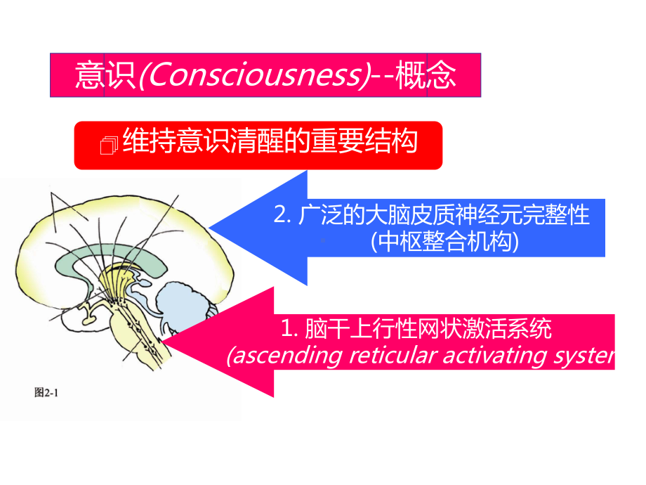 意识障碍患者神经系统检查课件.ppt_第3页