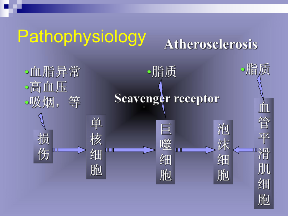 药理学调血脂药和抗动脉粥样硬化药课件.ppt_第2页