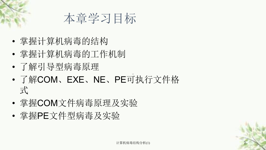 计算机病毒结构分析课件1.ppt_第2页