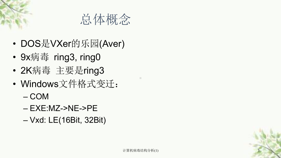 计算机病毒结构分析课件1.ppt_第3页