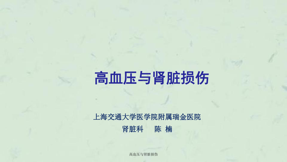 高血压与肾脏损伤课件.ppt_第1页